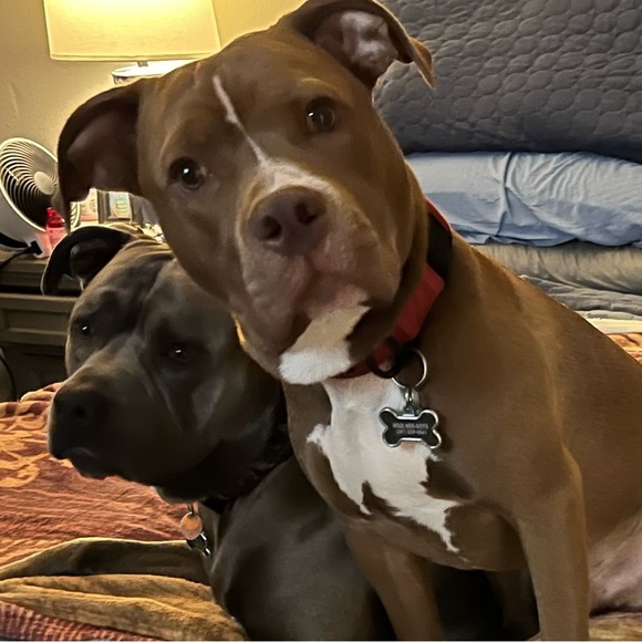 Meet your Posher, Cindy - Picture 2 of 7